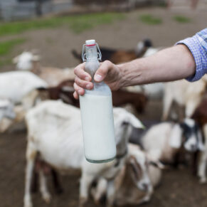 a2-cow-milk